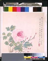 Album of Flowers and Birds