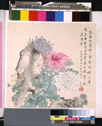 Album of Flowers and Birds