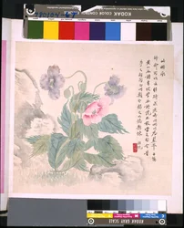 Album of Flowers and Birds