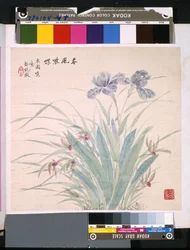 Album Of Flowers And Birds