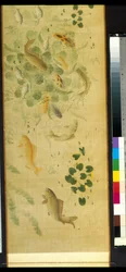 Myriad Fish In Audience With Carp