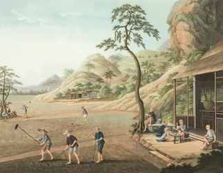 Tea production, c. 1820