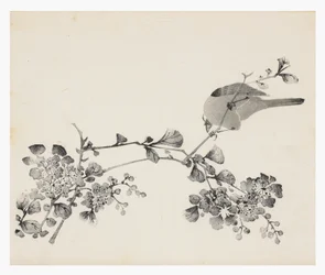 Ten Bamboo Series
