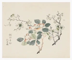 Ten Bamboo Series
