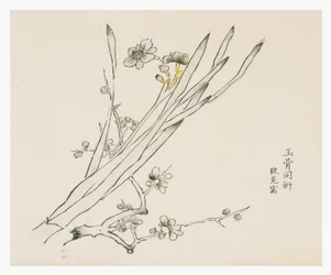 Ten Bamboo Series