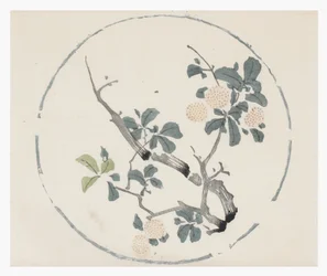 Ten Bamboo Series