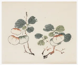 Ten Bamboo Series