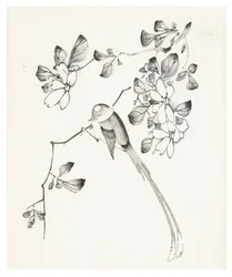 Ten Bamboo Series