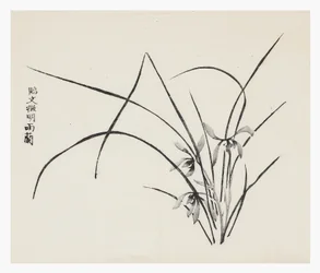Ten Bamboo Series