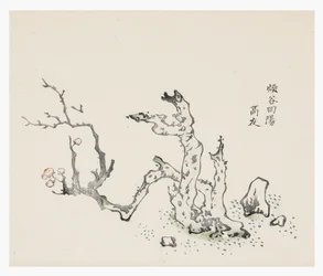 Ten Bamboo Series