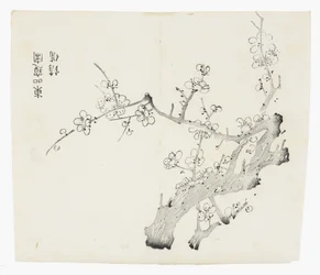 Ten Bamboo Series