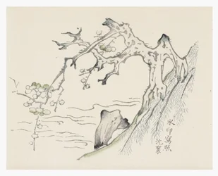 Ten Bamboo Series