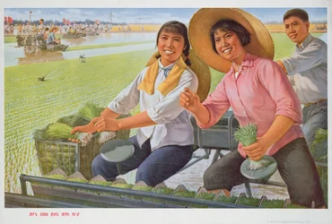 Transplanting seedlings with a machine is good, propaganda poster from the Chinese Cultural Revolution
