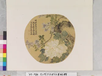 White Peony After Yun Shouping