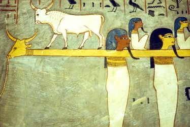 Ancient Egypt, Painting, Gods of the Underworld Tethered to Hathor, Divine Cow, Towing the Solar Barque, Tomb of Rameses I, Thebes