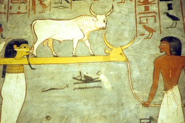 Painting, Tomb of Rameses I, Gods of the underworld tethered to Hathor, towing solar barque