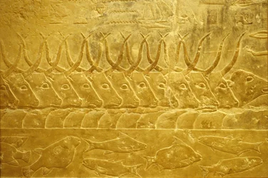 Wall carving/painting, Mastaba/Tomb of Idout, Saqqara, 2323-2150 BC, Cattle fording a river