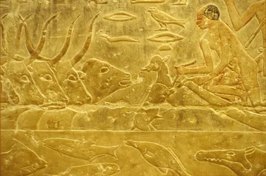 Ancient Egypt, Wall Carving/Painting, Mastaba/Tomb of Idout, Saqqara, 6th Dynasty, Cattle Fording a River, Man Helping a Calf Across a River, Mother Watching