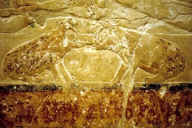 Ancient Egypt, Wall Carving/Painting, Mastaba/Tomb of Idout, Saqqara, 6th Dynasty, Two Hippos Fighting