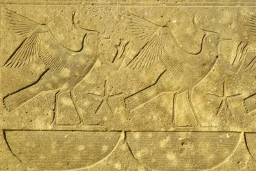 Ancient Egypt, Wall Painting/Carving, Lapwings, Representing the Various Tribes of Egypt, Karnak Temple, Luxor