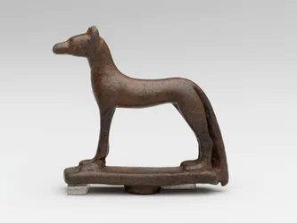 Jackal or dog