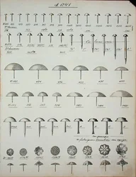 Nails, tacks and pins, from a trade catalogue of domestic goods and fittings