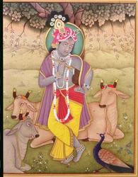 Shri Krishna
