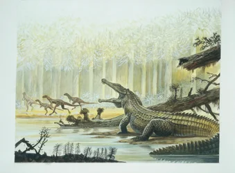 Rutiodon with Fabrosaurus in the background, Triassic period