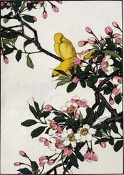 Serins on a blooming cherry branch - Japanese print