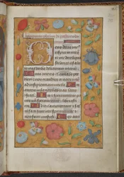 Book of Hours, Use of Sarum (