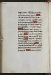 Book of Hours, Use of Sarum (