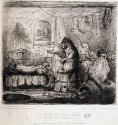 The Death of the Cat Murr (from Hoffmann