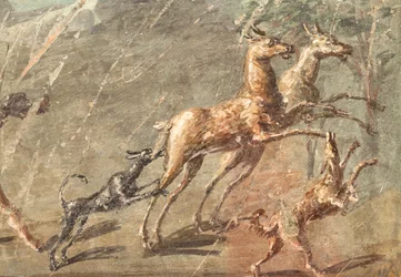 Loves while hunting, Herculaneum