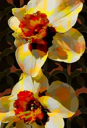 Daffodil