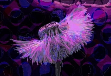 Dandelion, 2019