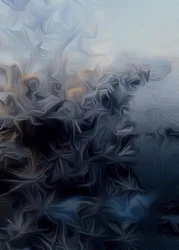 Frost 1