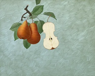 Pyris Stradivarius