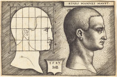 Head of a Man