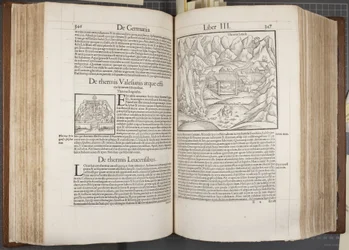 Cosmographia, Fol 346-347, 1544