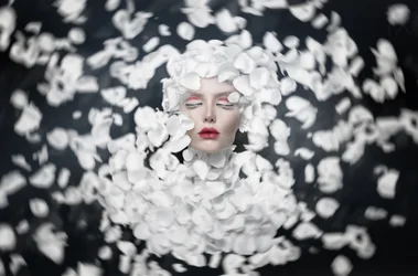 White Petal Dream