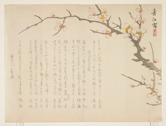 Flowering Plum, January 1837