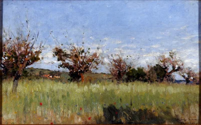 Wheat Field with Mulberry