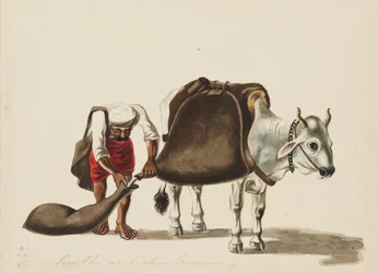 Water-carrier, c1810