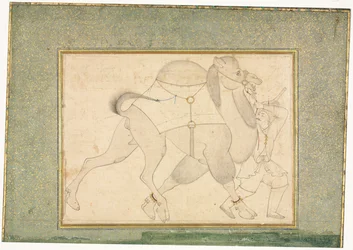 Camel and Groom, Single Page Illustration, c. 1545-1576