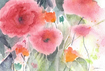Pink Watercolor Poppies