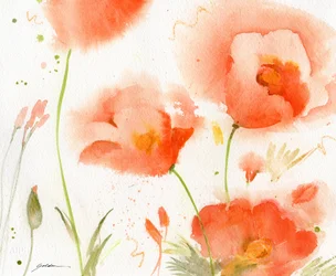 Soft Coral Poppies