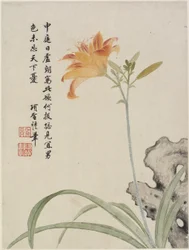 Day-Lily from a Flower Album of Ten Leaves