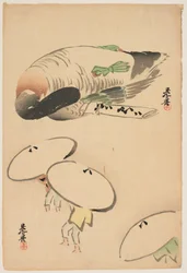 Pheasant / Three Men with Umbrellas