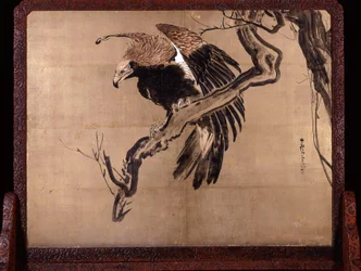 Carp in Waves (Zeshin) and Eagle on a Branch (Rosetsu reverse)