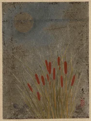 Cat Tails and Moon